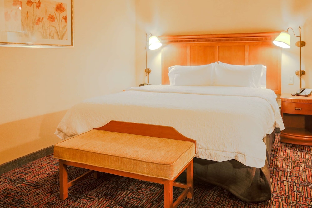 Hampton Inn & Suites by Hilton Tomball Houston NW - photo 15