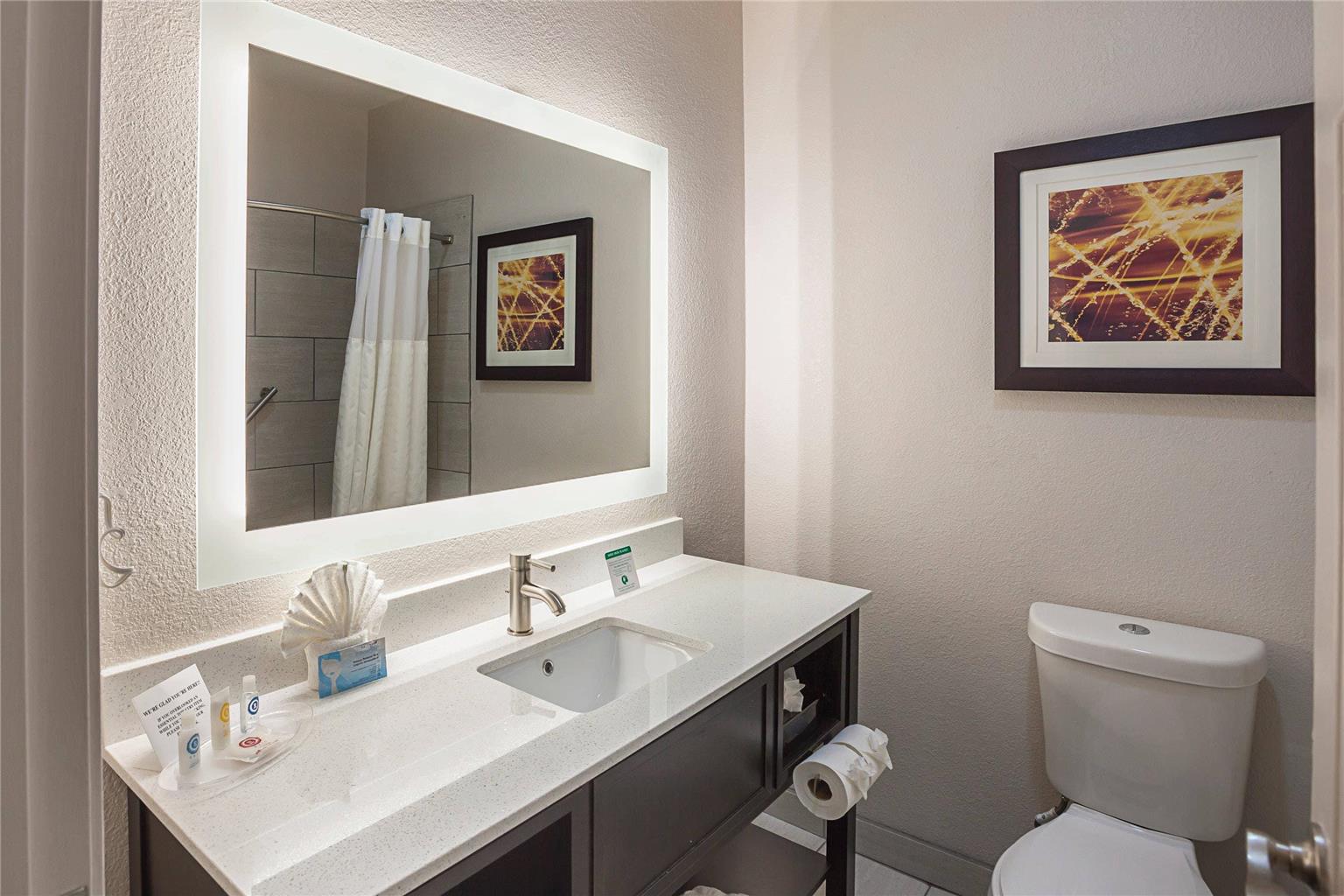 Comfort Suites Lewisville Dallas - photo 16