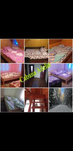 Cabana Adelin - carbon neutral hotel in Dobresti