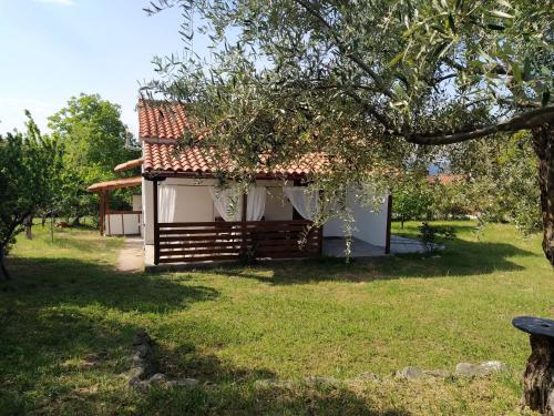 SeaSaos in Samothraki, Greece