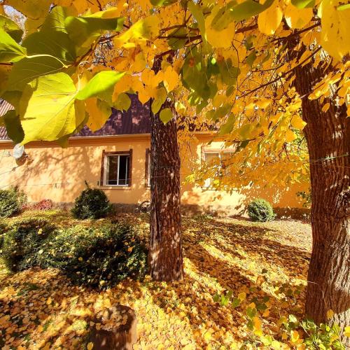 Veniki Club — Vorzel' — photo 3