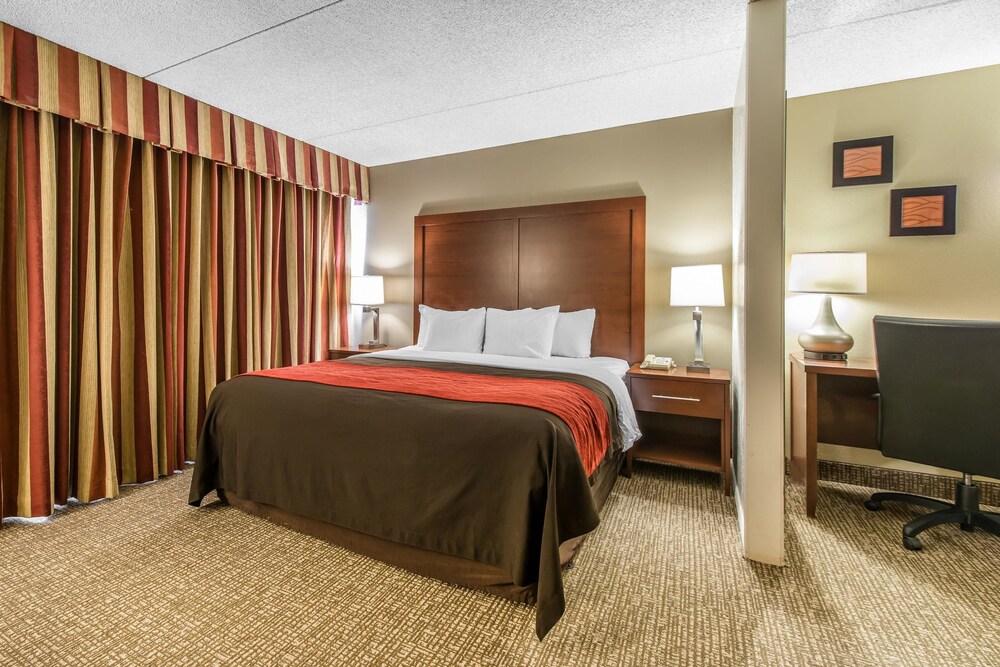 Comfort Inn & Suites Denver Northfield - photo 15