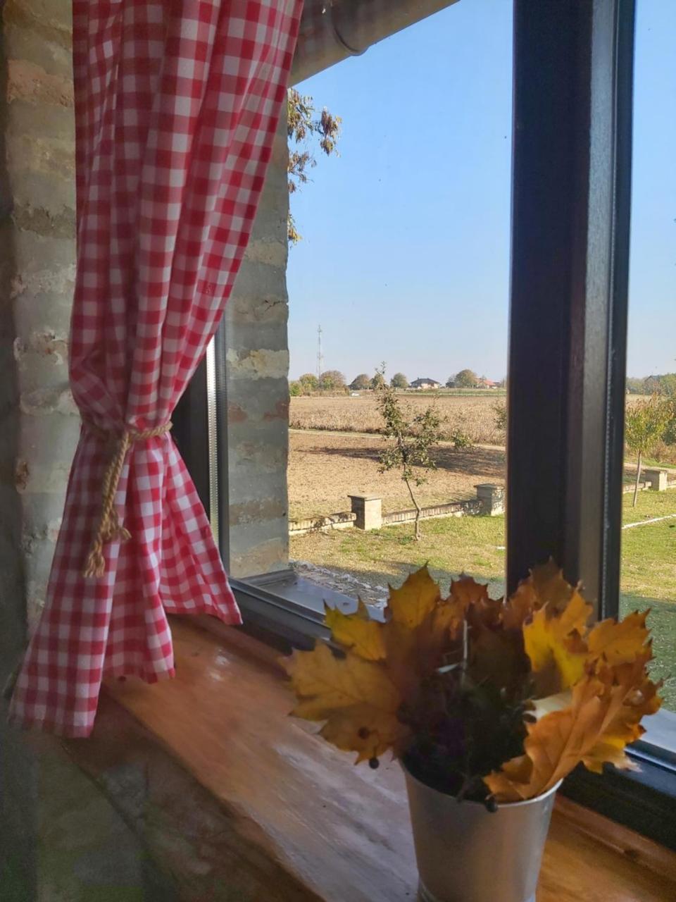 Izletište Opatovac pet-friendly hotel Lovas