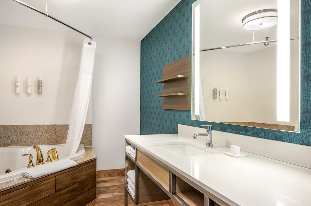 Hilton Garden Inn Wisconsin Dells - photo 86