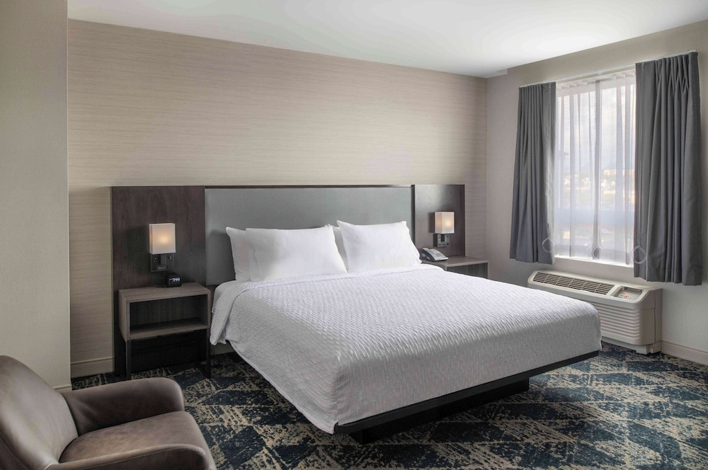Homewood Suites by Hilton Boston Logan Airport Chelsea - photo 5