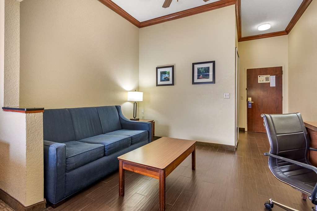 Comfort Inn & Suites Statesboro University Area - photo 17