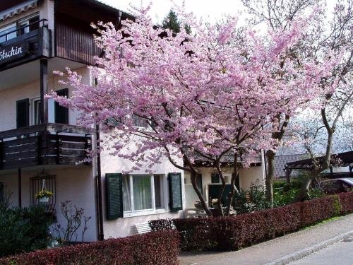 Hotel garni Haus G tschin in Badenweiler, Germany