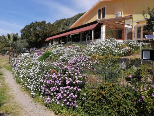 Il Lentischio Rosmarino — hotel in Sant'antioco