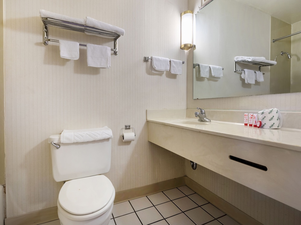 Mansion View Inn and Suite - photo 51