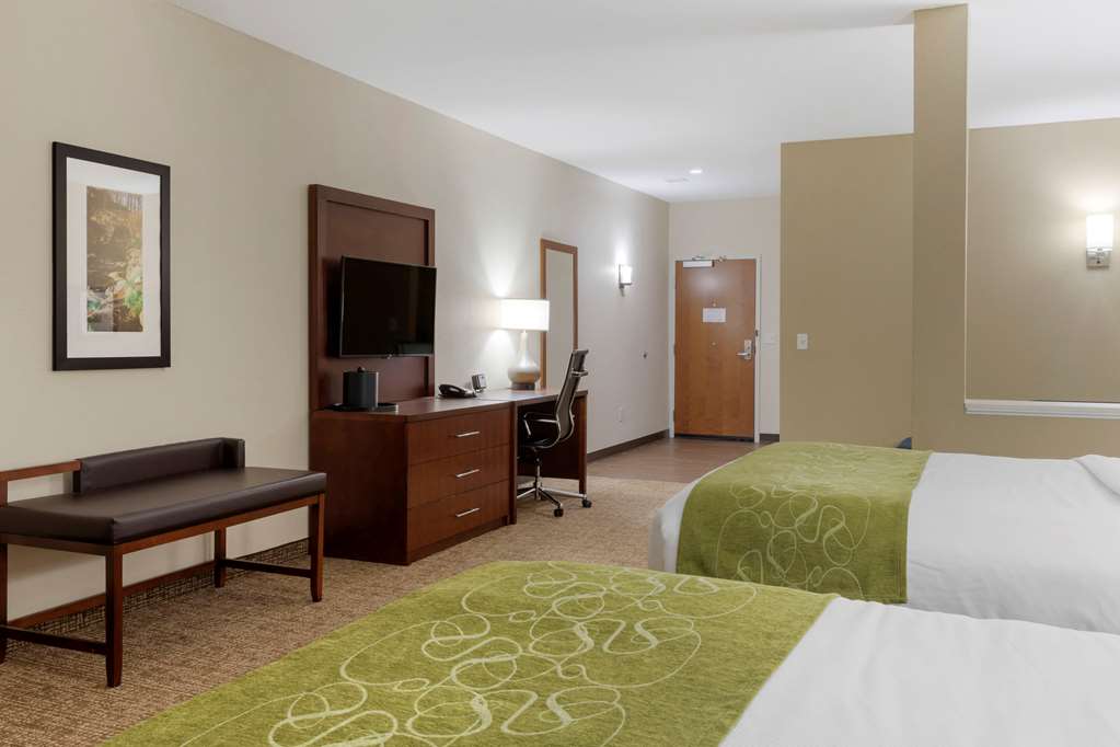 Comfort Suites Piedmont Greenville South - photo 16