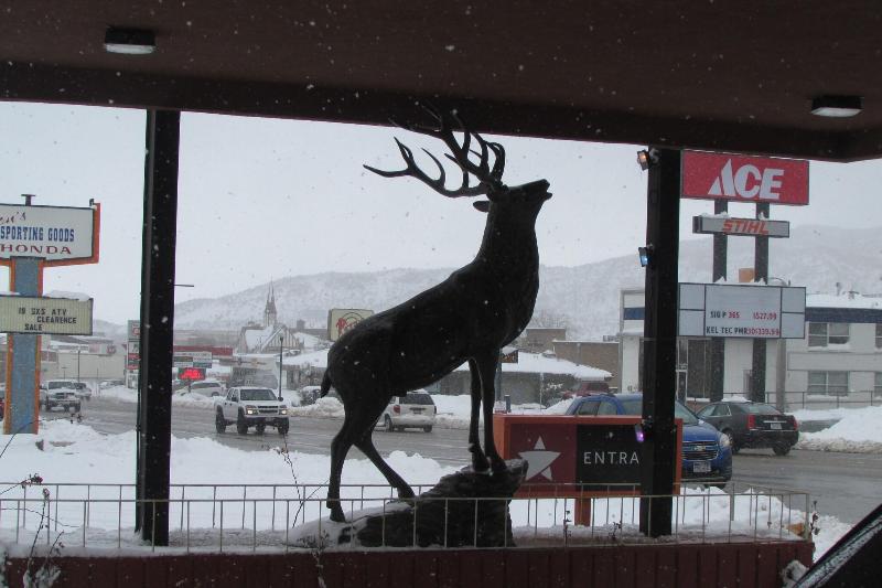 Mountain Star Inn - photo 53