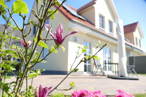 E18 MeerZeit Ostseebad Rerik 4 Raum Ferienhaus in Bastorf, Germany