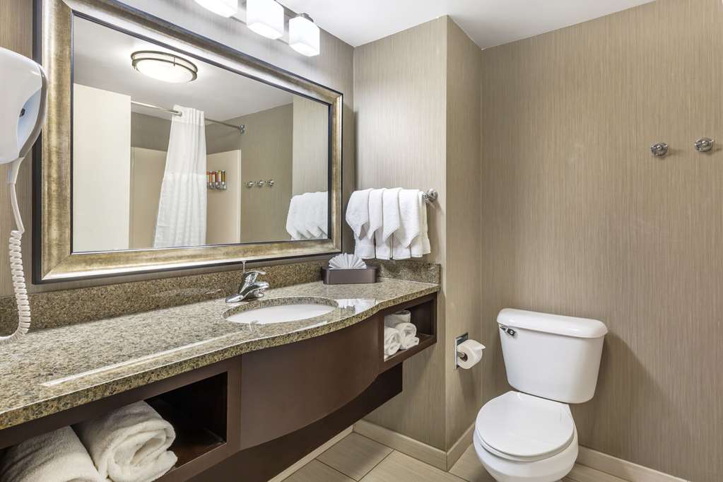 Comfort Inn & Suites Logan International Airport - photo 9