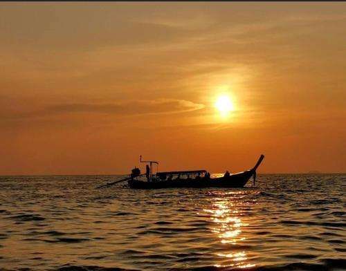 PP Midnight Hotel — Phi Phi Don — photo 2