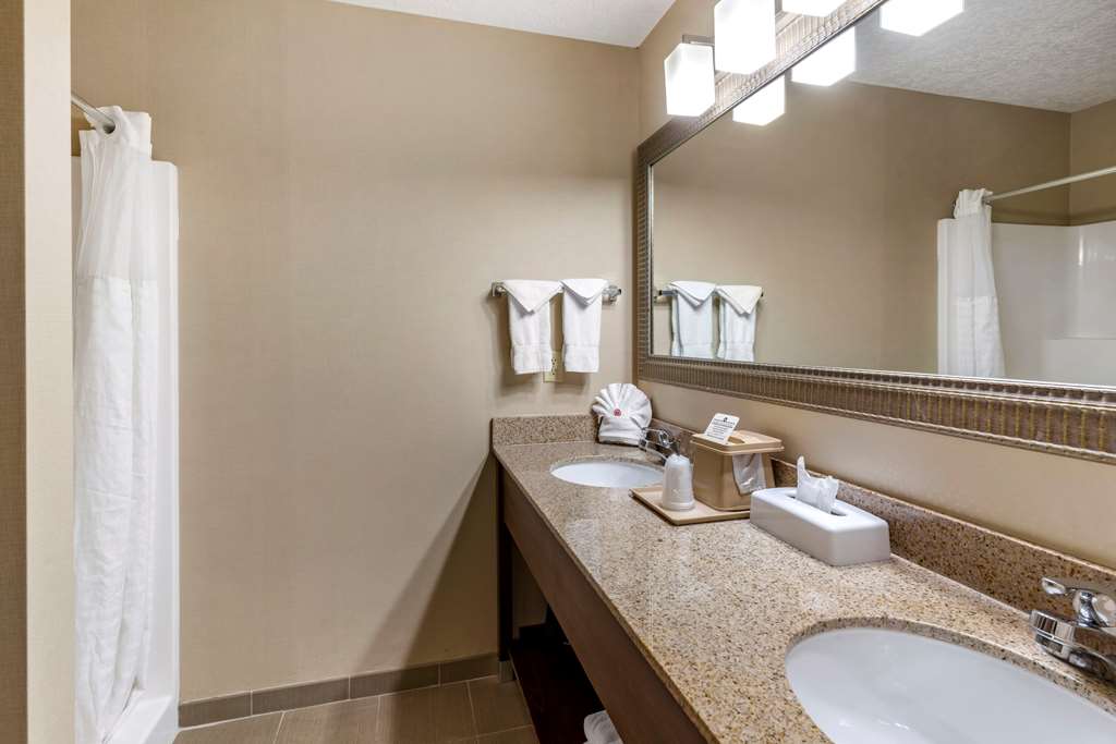Comfort Suites Linn County - photo 30