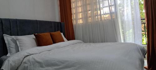 Affordable Studio Apartment Kasarani Seasons Road