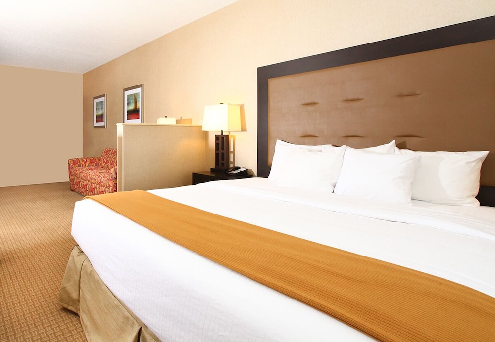 Holiday Inn Express Hotel & Suites Olathe North by IHG - photo 9