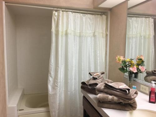 Apple Orchard Inn - photo 34