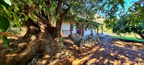 Wildedruifhuisie - last minute hotel in Unknown City