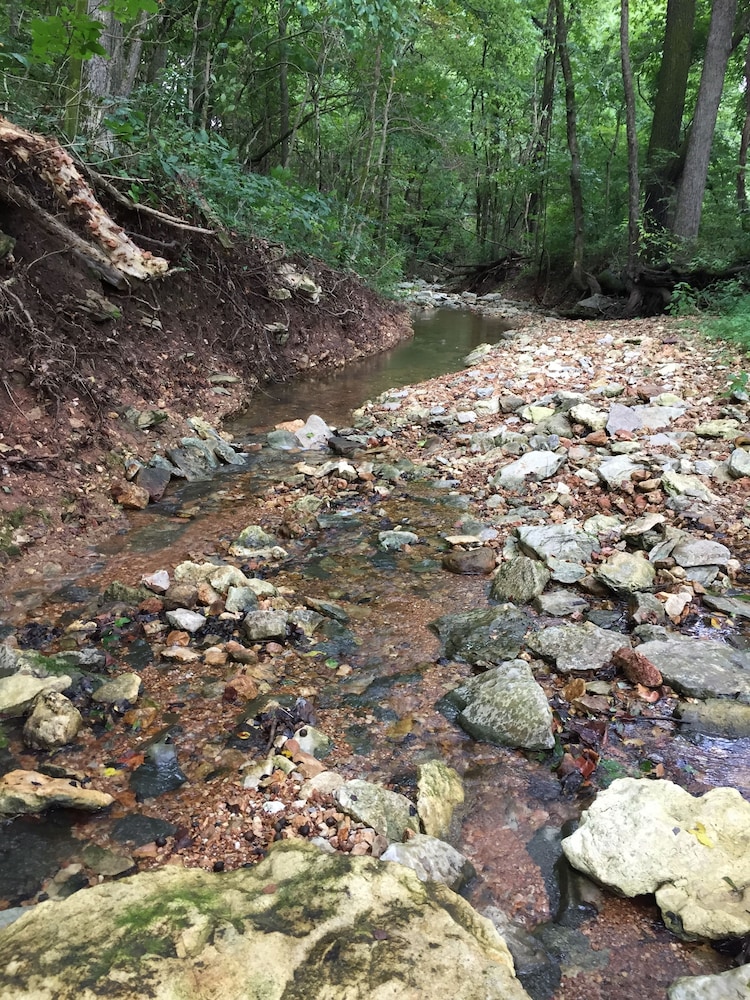 Sugar Creek Retreat - photo 44