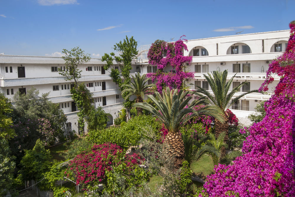 Club Hotel Iliochari — hotel in Agioi Theodoroi