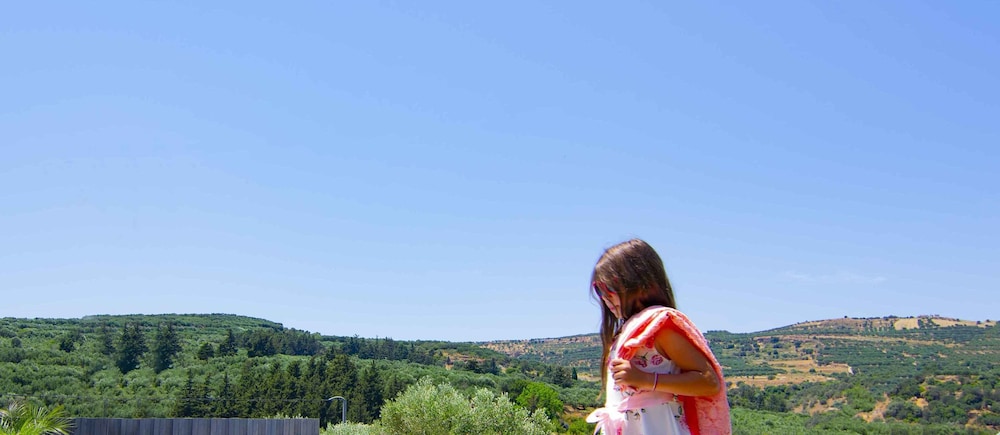 Villa Olive Tree — 4-Star Luxury Hotel in Kissamos, Greece