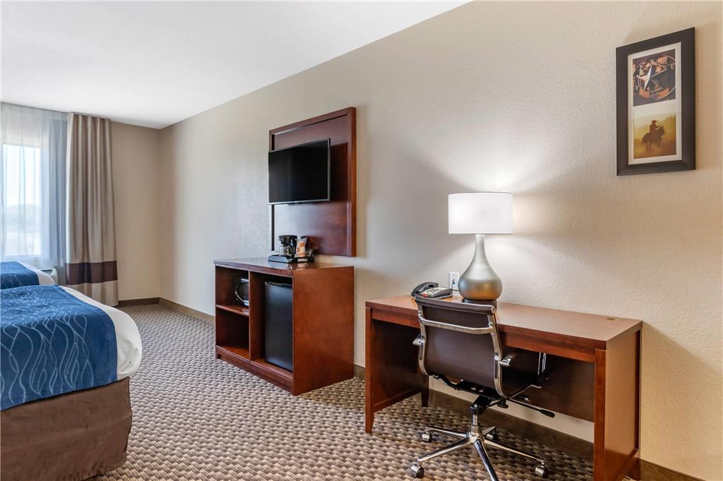 Comfort Inn & Suites Navasota - photo 22