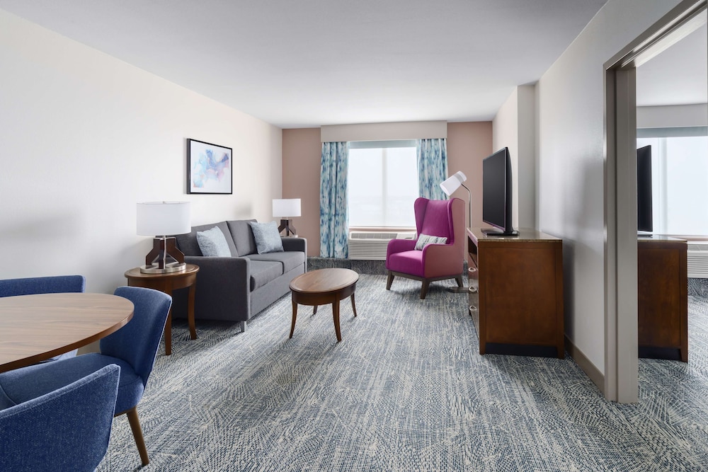 Hilton Garden Inn Orlando at SeaWorld - photo 15