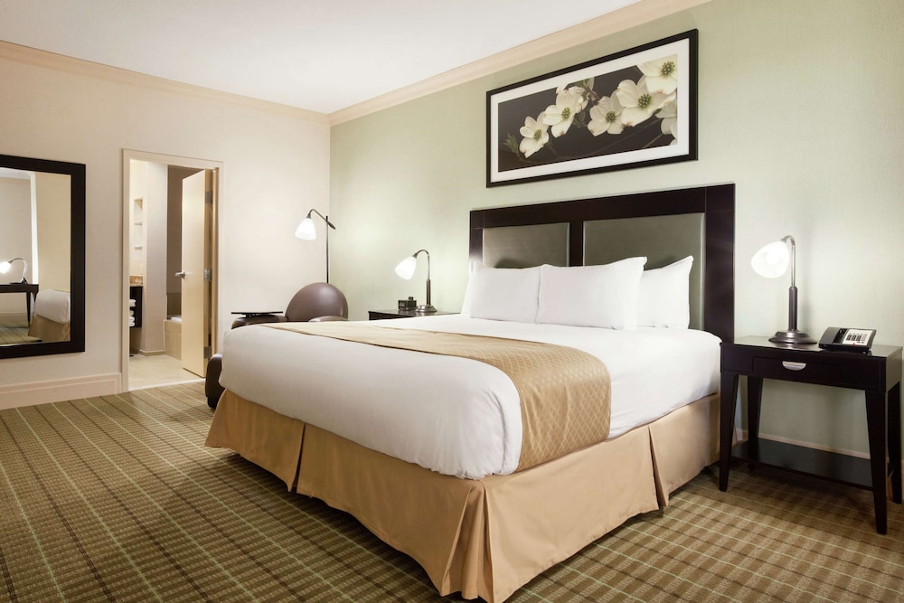 DoubleTree by Hilton Hotel Dallas Love Field - photo 13