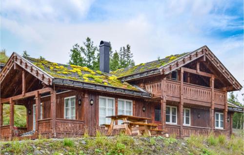 Cozy Home In Rjukan With Kitchen — 4-Star Luxury Hotel in Rjukan, Norway