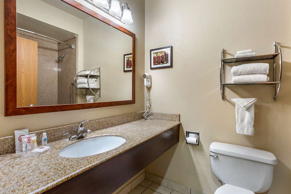 Comfort Inn & Suites Deming - photo 22