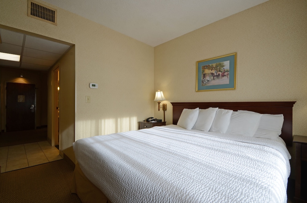 English Inn Of Charlottesville - photo 13