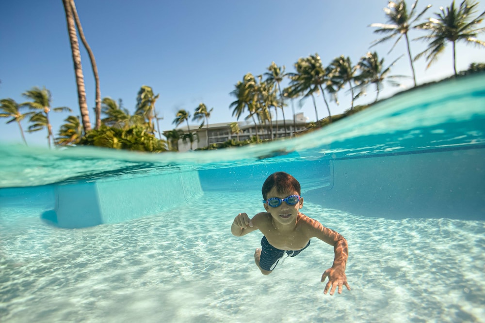 Fairmont Orchid - photo 60