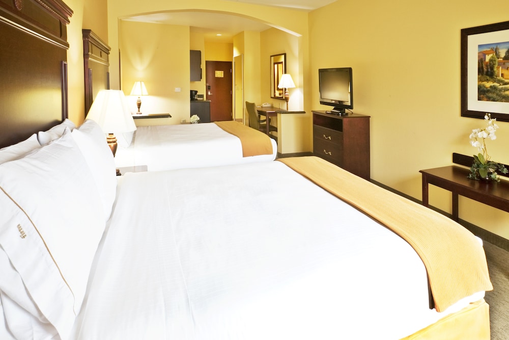 Holiday Inn Express & Suites Texarkana by IHG - photo 6