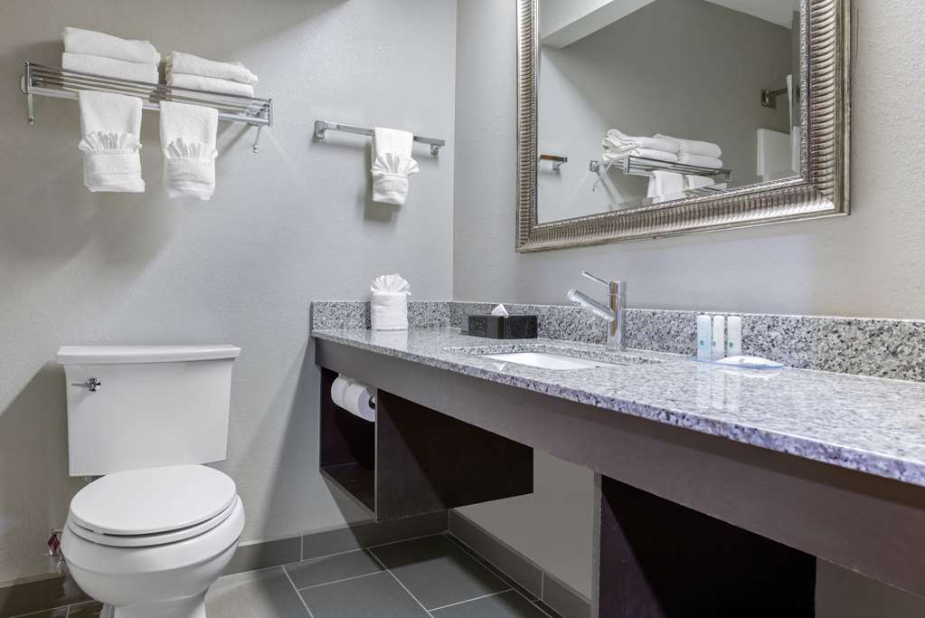 Quality Inn & Suites Brownsburg Indianapolis West - photo 14