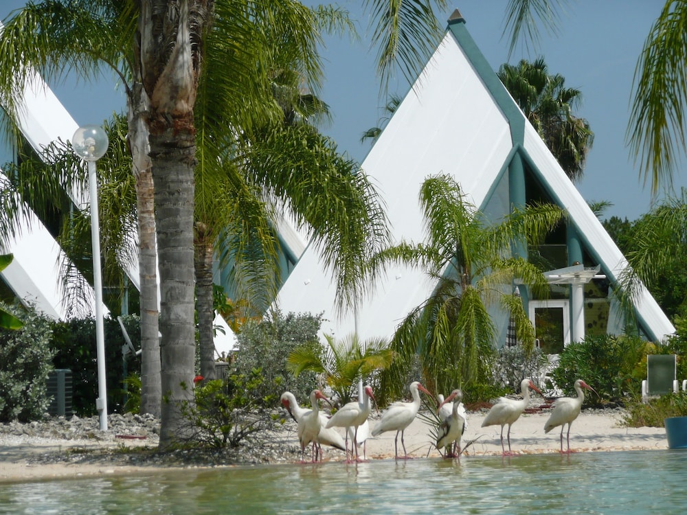Pyramids in Florida - photo 77