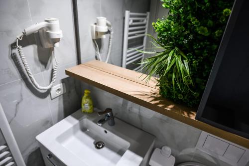 Baile Figa spa Cazare — Beclean — photo 4