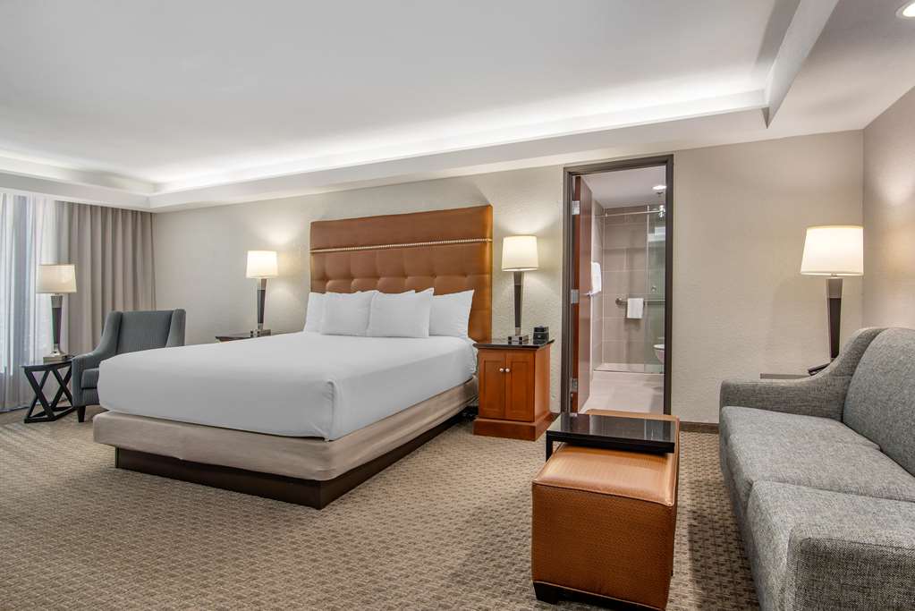 Drury Inn & Suites Atlanta Airport - photo 19