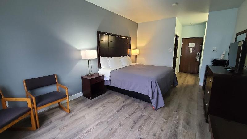 Bay Inn - photo 51