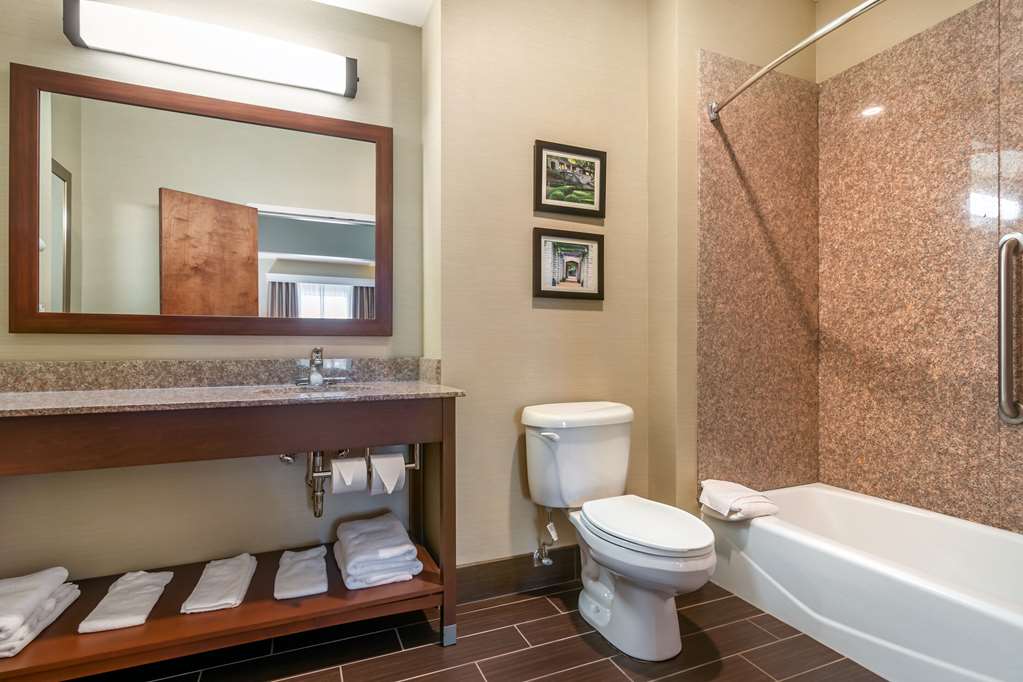 Comfort Suites Jefferson City - photo 14