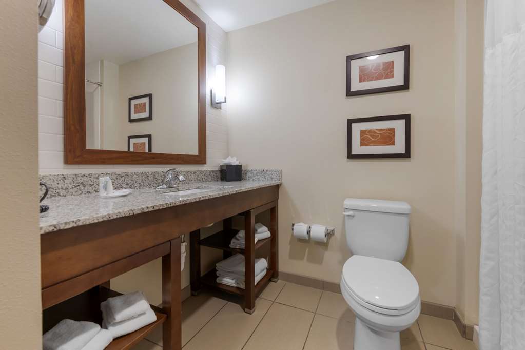 Comfort Suites and Conference Center - photo 24