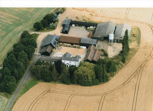 Highfield Farm — Sandy — photo 5