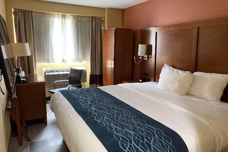 Ramada by Wyndham New York Times Square West - photo 8