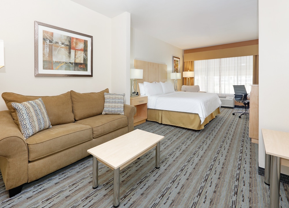 Holiday Inn Express & Suites San Antonio Brooks City Base by IHG - photo 8