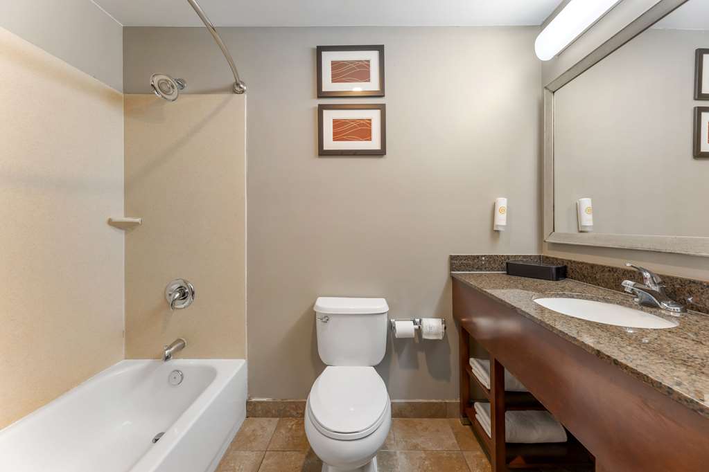 Comfort Inn & Suites Porter near Indiana Dunes - photo 19