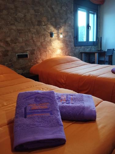 Pensión Matarraña pet-friendly hotel Fayon