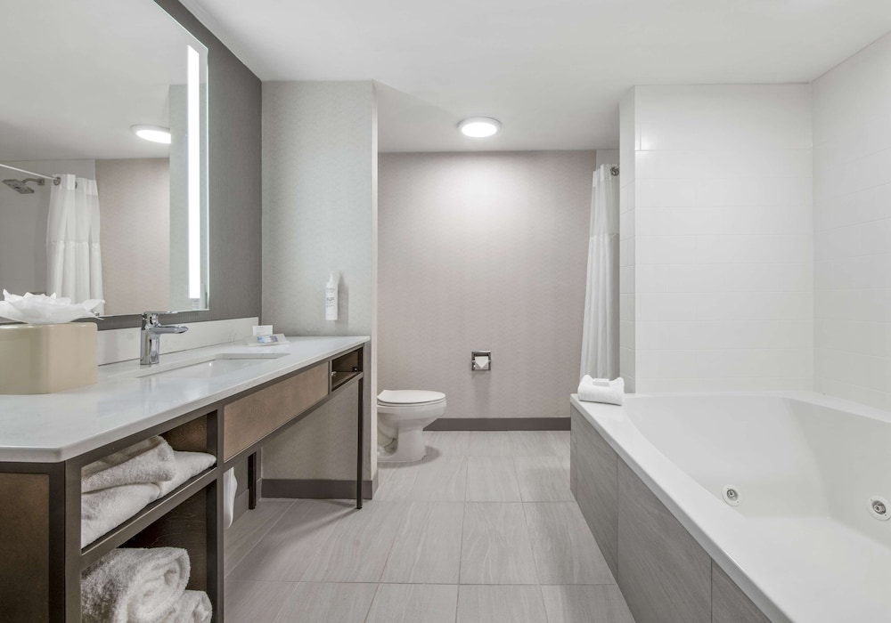 Hilton Garden Inn Dallas Allen - photo 16