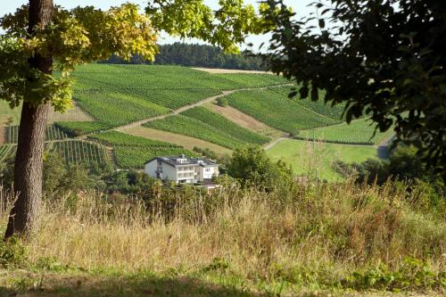BENZ Weingut & Weinhotel — Lauda-Konigshofen — photo 3