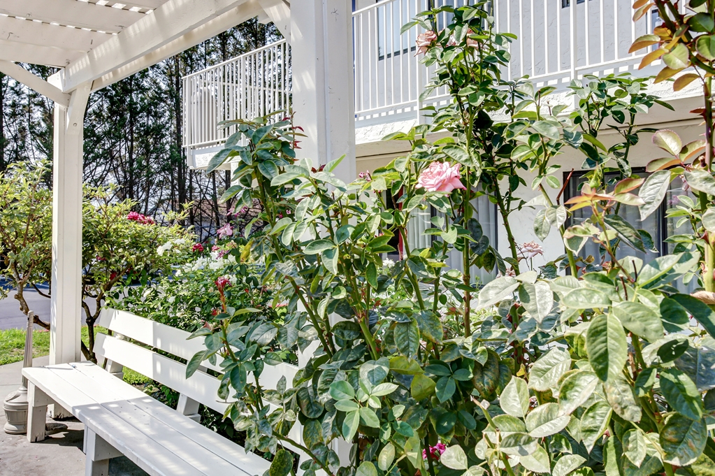 Motel 6 Grants Pass OR - photo 4