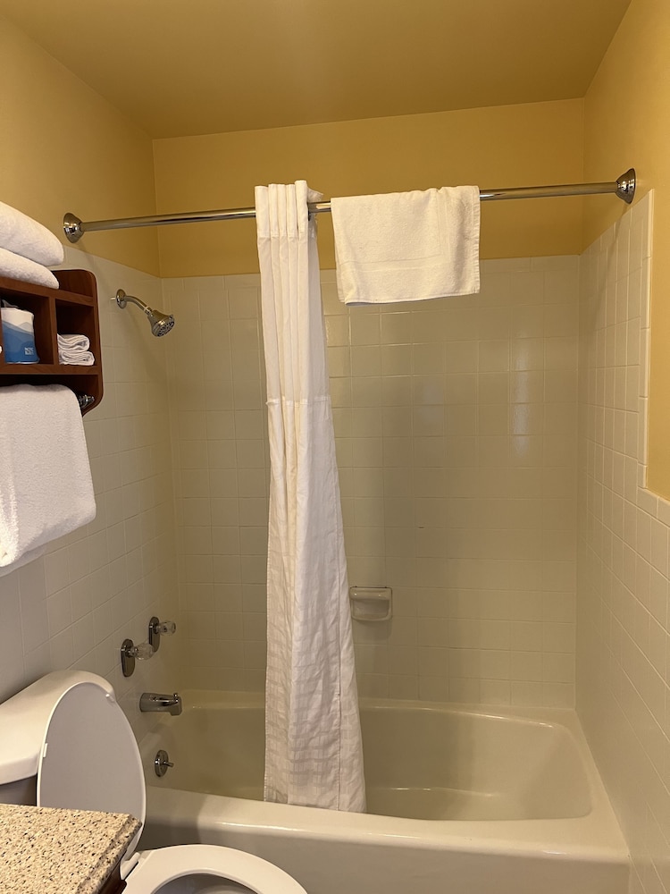 All Star Inn & Suites - photo 331